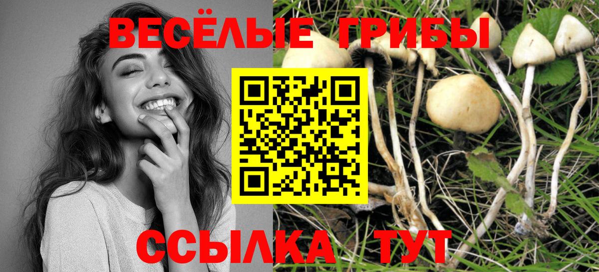 Галлюциногенные грибы мицелий Прохладный