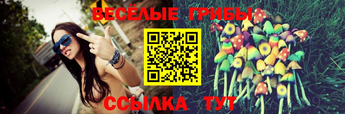 MDMA Прохладный
