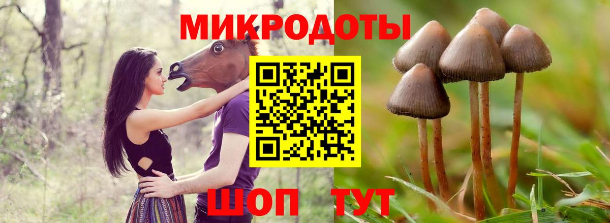 Галлюциногенные грибы Psilocybine cubensis  Вход с VPN  Прохладный 